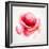 The Flowering Red Poppy-artant-Framed Art Print