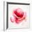 The Flowering Red Poppy-artant-Framed Art Print