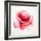 The Flowering Red Poppy-artant-Framed Art Print