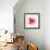 The Flowering Red Poppy-artant-Framed Art Print displayed on a wall