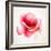 The Flowering Red Poppy-artant-Framed Art Print