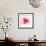 The Flowering Red Poppy-artant-Framed Premium Giclee Print displayed on a wall