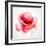 The Flowering Red Poppy-artant-Framed Premium Giclee Print