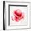 The Flowering Red Poppy-artant-Framed Art Print