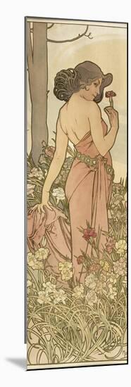 The Flowers: Carnation, 1898-Alphonse Mucha-Mounted Giclee Print