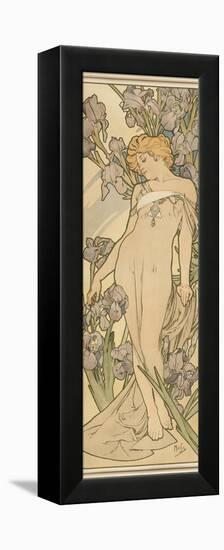 The Flowers: Iris, 1898-Alphonse Mucha-Framed Premier Image Canvas