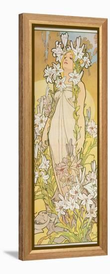 The Flowers: Lily, 1898-Alphonse Mucha-Framed Premier Image Canvas