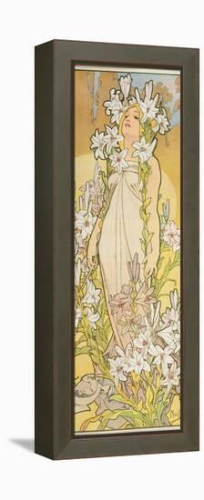 The Flowers: Lily, 1898-Alphonse Mucha-Framed Premier Image Canvas