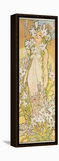 The Flowers: Lily, 1898-Alphonse Mucha-Framed Premier Image Canvas