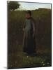 The Flowers of the Field-Winslow Homer-Mounted Giclee Print