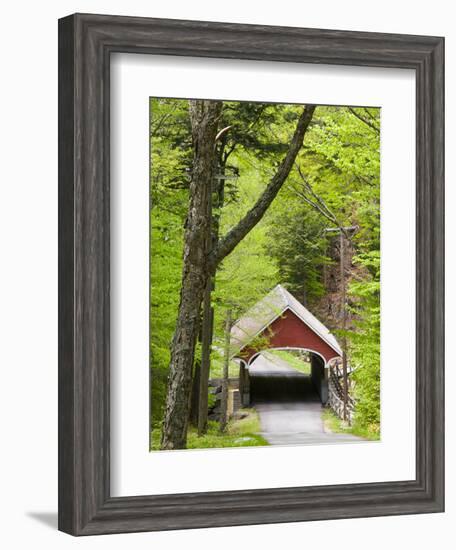 The Flume Covered Bridge, Pemigewasset River, Franconia Notch State Park, New Hampshire, USA-Jerry & Marcy Monkman-Framed Photographic Print