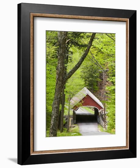 The Flume Covered Bridge, Pemigewasset River, Franconia Notch State Park, New Hampshire, USA-Jerry & Marcy Monkman-Framed Photographic Print