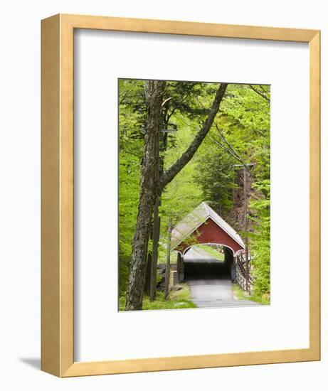The Flume Covered Bridge, Pemigewasset River, Franconia Notch State Park, New Hampshire, USA-Jerry & Marcy Monkman-Framed Photographic Print