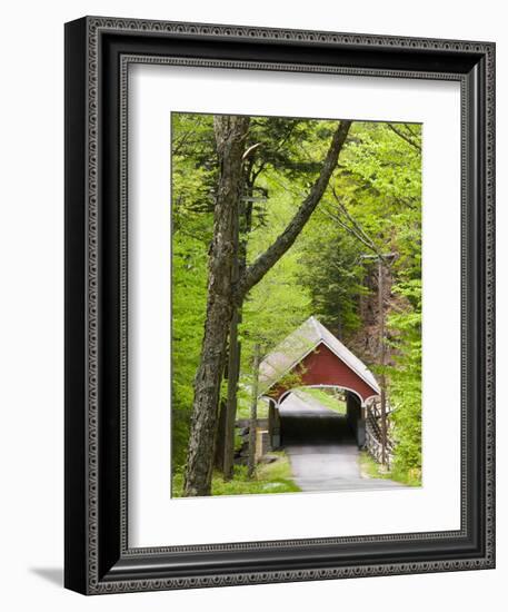 The Flume Covered Bridge, Pemigewasset River, Franconia Notch State Park, New Hampshire, USA-Jerry & Marcy Monkman-Framed Photographic Print