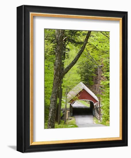 The Flume Covered Bridge, Pemigewasset River, Franconia Notch State Park, New Hampshire, USA-Jerry & Marcy Monkman-Framed Photographic Print