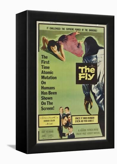 The Fly, 1958-null-Framed Stretched Canvas