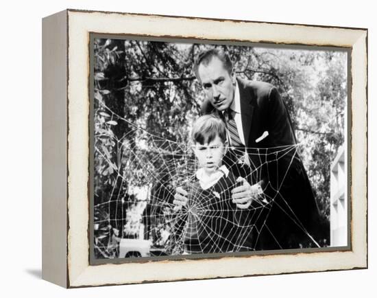 The Fly, Charles Herbert, Vincent Price, 1958, Spider Web-null-Framed Stretched Canvas