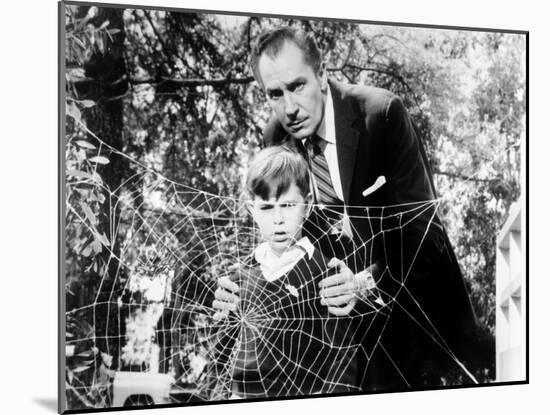 The Fly, Charles Herbert, Vincent Price, 1958, Spider Web-null-Mounted Photo