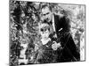The Fly, Charles Herbert, Vincent Price, 1958, Spider Web-null-Mounted Photo