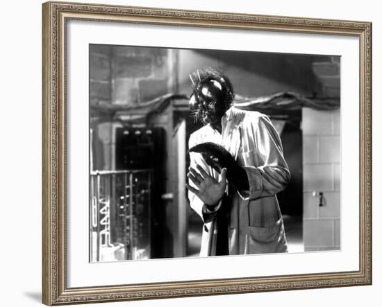 The Fly, David Hedison, 1958-null-Framed Photo