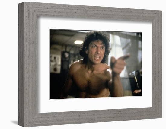 The Fly (photo)-null-Framed Photo