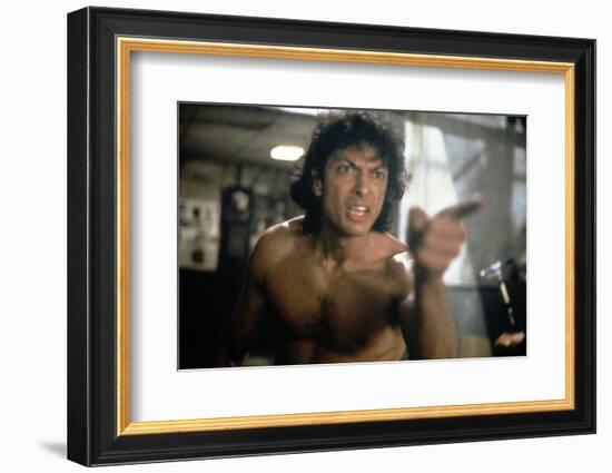 The Fly (photo)-null-Framed Photo