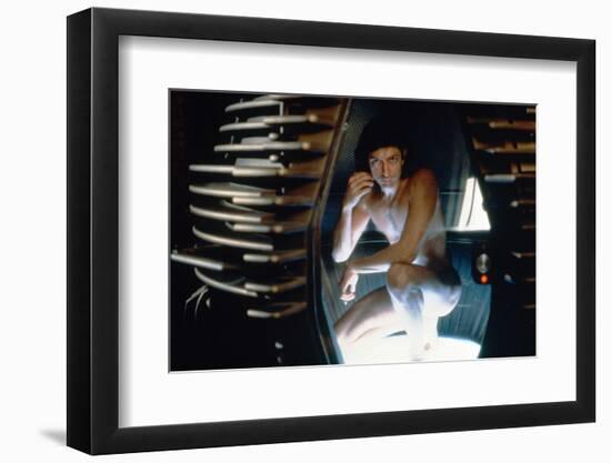 The Fly (photo)-null-Framed Photo