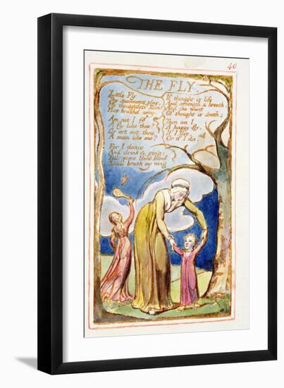 The Fly: Plate 40 from Songs of Innocence and of Experience C.1815-26-William Blake-Framed Giclee Print