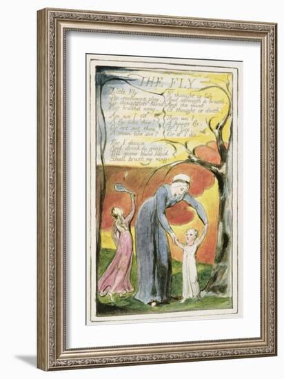 The Fly: Plate 41 from 'Songs of Innocence and of Experience' C.1802-08-William Blake-Framed Giclee Print