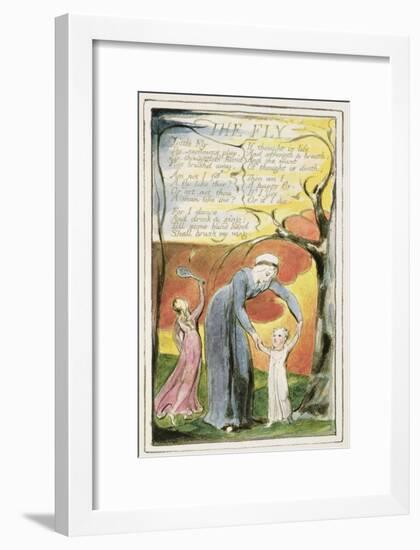 The Fly: Plate 41 from 'Songs of Innocence and of Experience' C.1802-08-William Blake-Framed Giclee Print