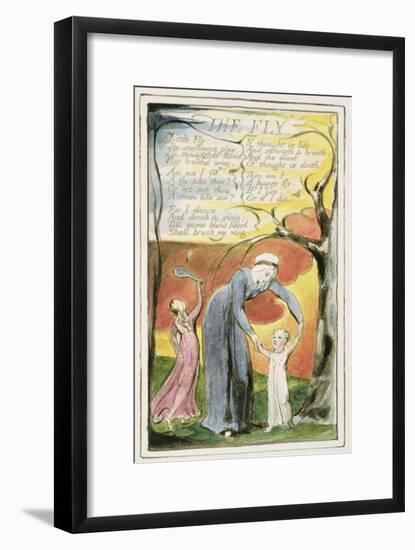The Fly: Plate 41 from 'Songs of Innocence and of Experience' C.1802-08-William Blake-Framed Giclee Print