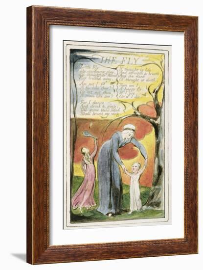 The Fly: Plate 41 from 'Songs of Innocence and of Experience' C.1802-08-William Blake-Framed Giclee Print