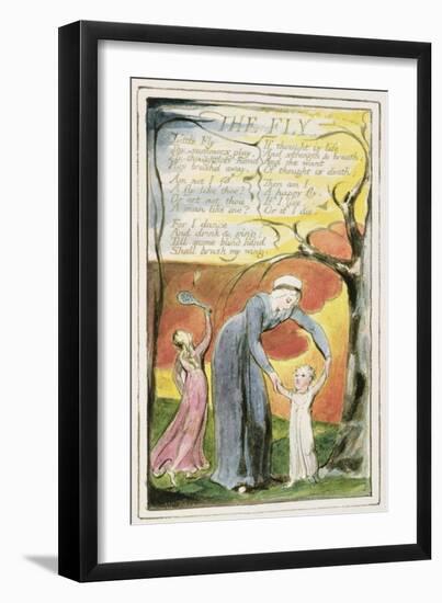 The Fly: Plate 41 from 'Songs of Innocence and of Experience' C.1802-08-William Blake-Framed Giclee Print