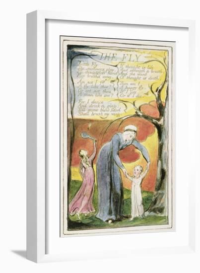 The Fly: Plate 41 from 'Songs of Innocence and of Experience' C.1802-08-William Blake-Framed Giclee Print