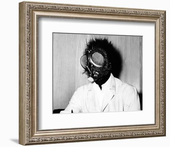 The Fly-null-Framed Photo