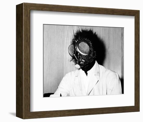 The Fly-null-Framed Photo