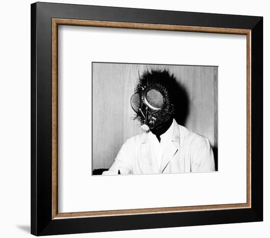 The Fly-null-Framed Photo