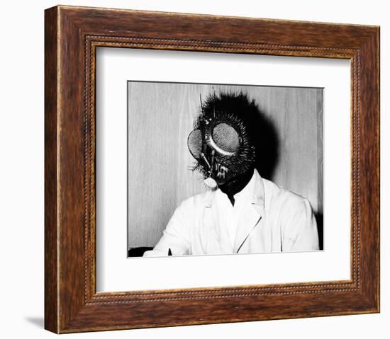 The Fly-null-Framed Photo