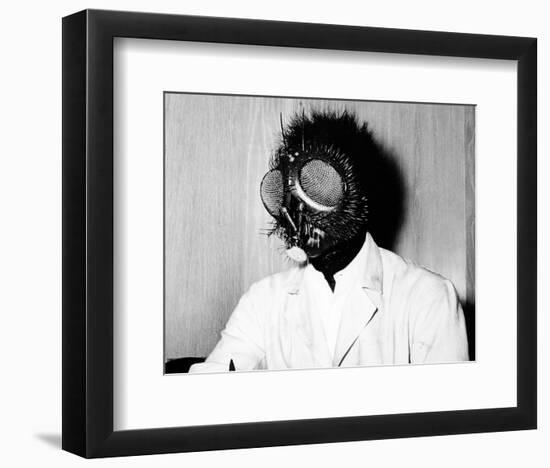 The Fly-null-Framed Photo