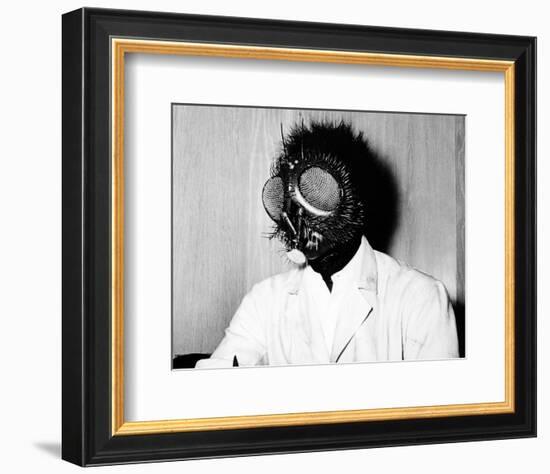 The Fly-null-Framed Photo