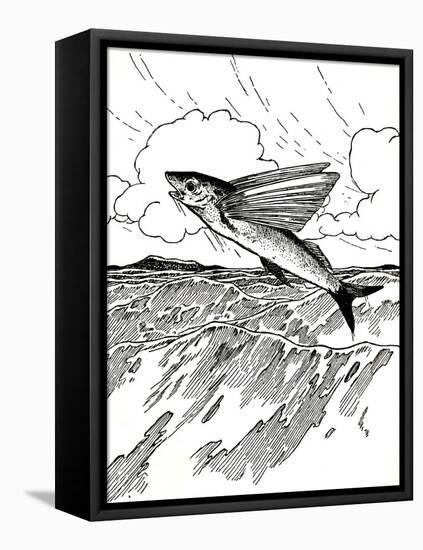 'The Flying Fish', 1912-Charles Robinson-Framed Premier Image Canvas