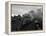 The Flying Scotsman Steam Train Locomotive, 1969-null-Framed Premier Image Canvas