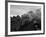 The Flying Scotsman Steam Train Locomotive, 1969-null-Framed Photographic Print