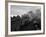 The Flying Scotsman Steam Train Locomotive, 1969-null-Framed Photographic Print