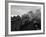 The Flying Scotsman Steam Train Locomotive, 1969-null-Framed Photographic Print