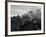 The Flying Scotsman Steam Train Locomotive, 1969-null-Framed Photographic Print