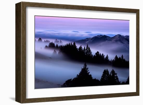 The Fog Fever Flows at Sunset Mount Tamalpais Marin San Francisco-Vincent James-Framed Photographic Print