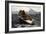 The Fog Warning by Winslow Homer-Winslow Homer-Framed Premium Giclee Print