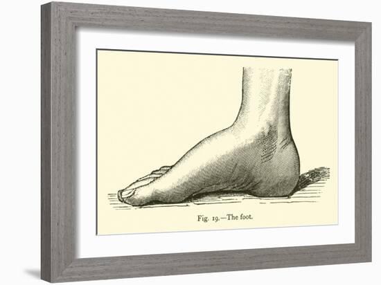 The Foot-Leveille-Framed Giclee Print