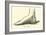 The Foot-Leveille-Framed Giclee Print